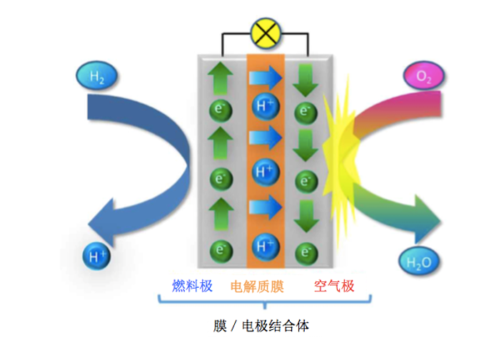 新一代燃料电池用电解质膜的研发项目启动：燃料电池利用的大规模普及