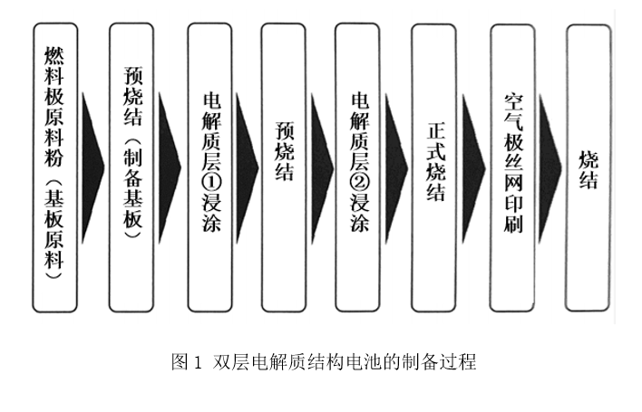 具有双层电解质（BaCe0.7Zr0.1Y0.1Yb0.1O3-σ/BaZr0.8Yb0.2O3-σ）结构的共烧结支撑膜型质子传导SOFC的开发