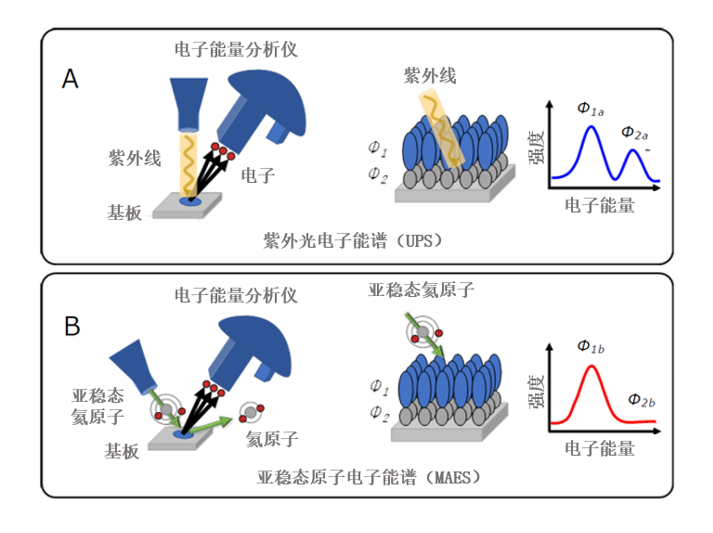 钙钛矿太阳能电池表面结构评估方法的确立