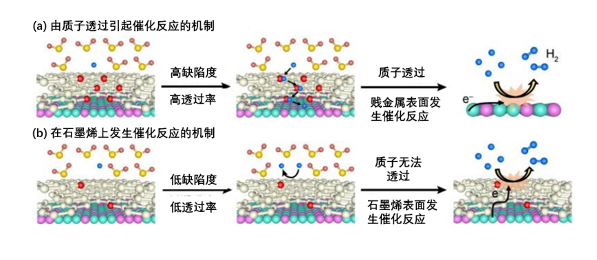 覆盖有石墨烯的贱金属电极兼具防腐蚀和催化作用机制的阐明