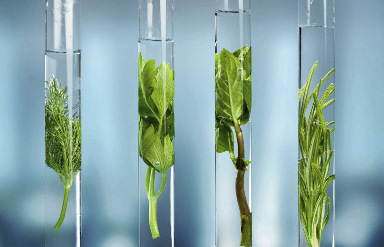 以污水和废水为燃料的微生物燃料电池所具备的可能性