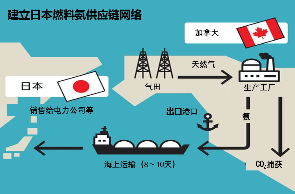 伊藤忠：将在加拿大启动燃料氨的商业化生产，以构建氨供应链网络