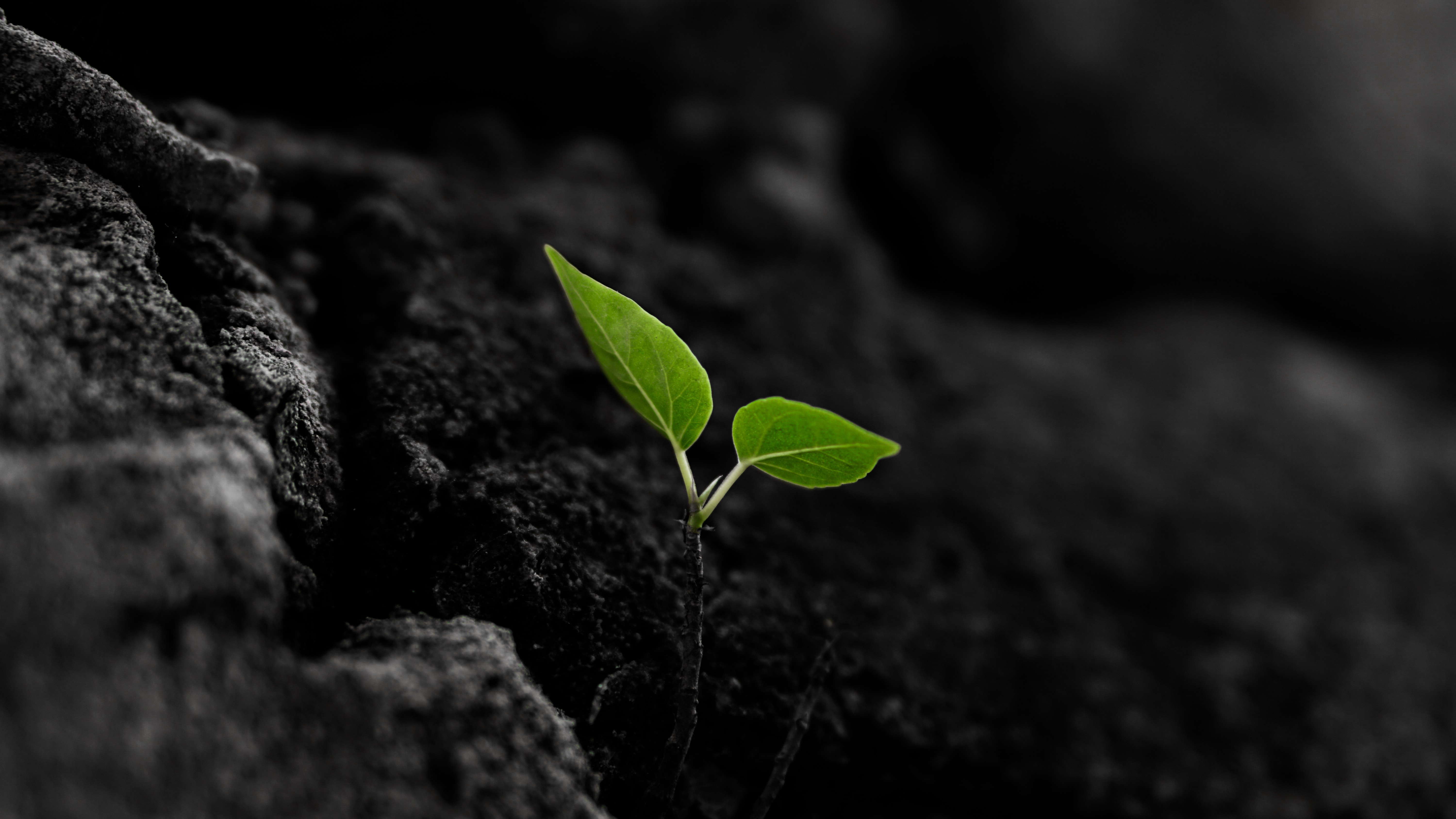 CO2回收技术在制造业和能源相关设施中的应用