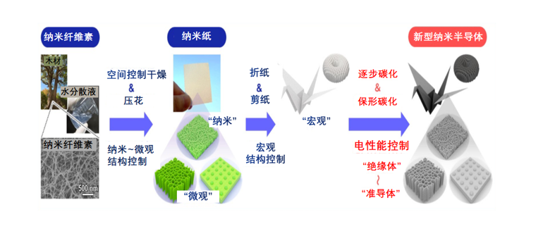 来源于木材的纳米半导体：可定制电气特性和3D结构