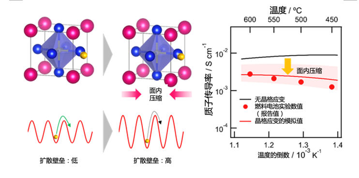 全球首创！成功构建关联材料界面应变和质子传导率的定量模型