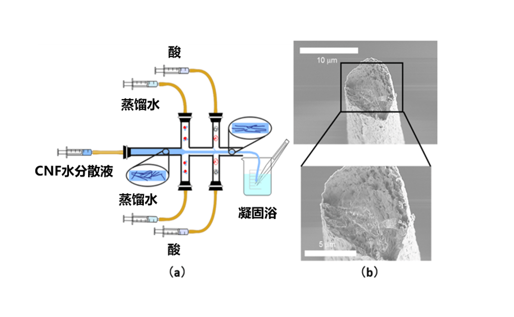 热导率是纸的100倍以上的木质生物质材料