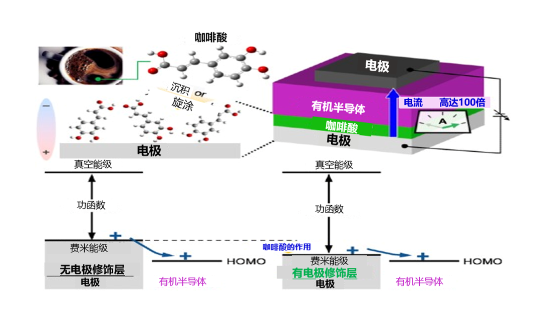 【双语资讯】产综研和筑波大学：咖啡成分可提高半导体器件的性能