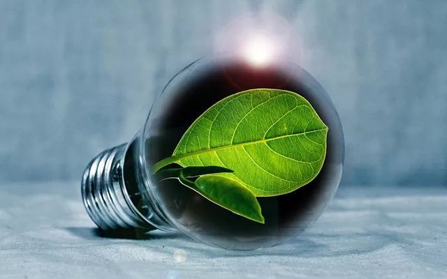【专题：环境技术解说】生物质发电（下）